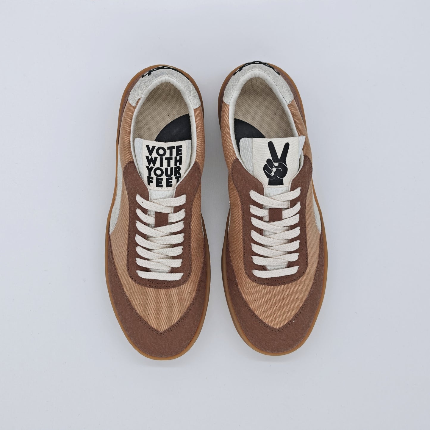 THE ‘269’ GRIZZLY BEAR