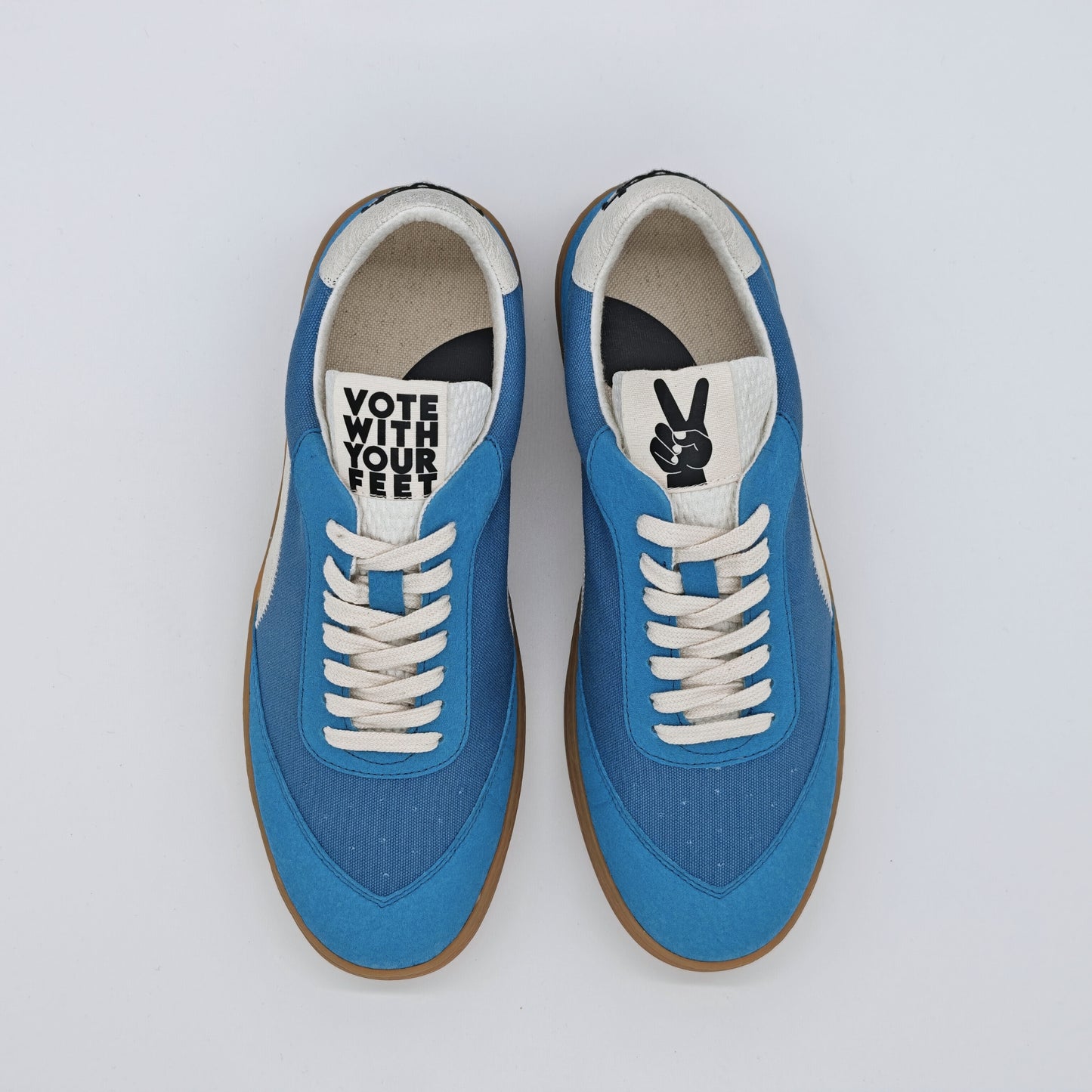 THE ‘269’ BLUE WHALE