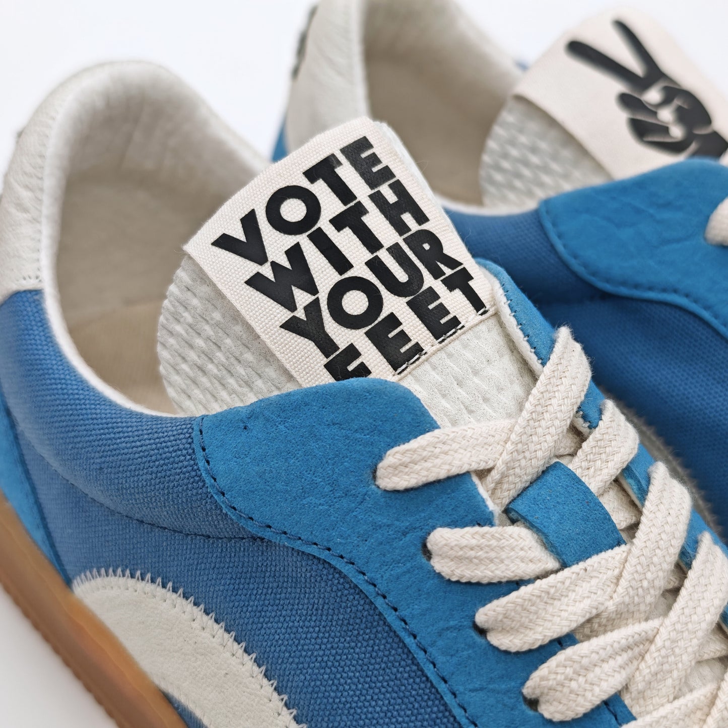 THE ‘269’ BLUE WHALE