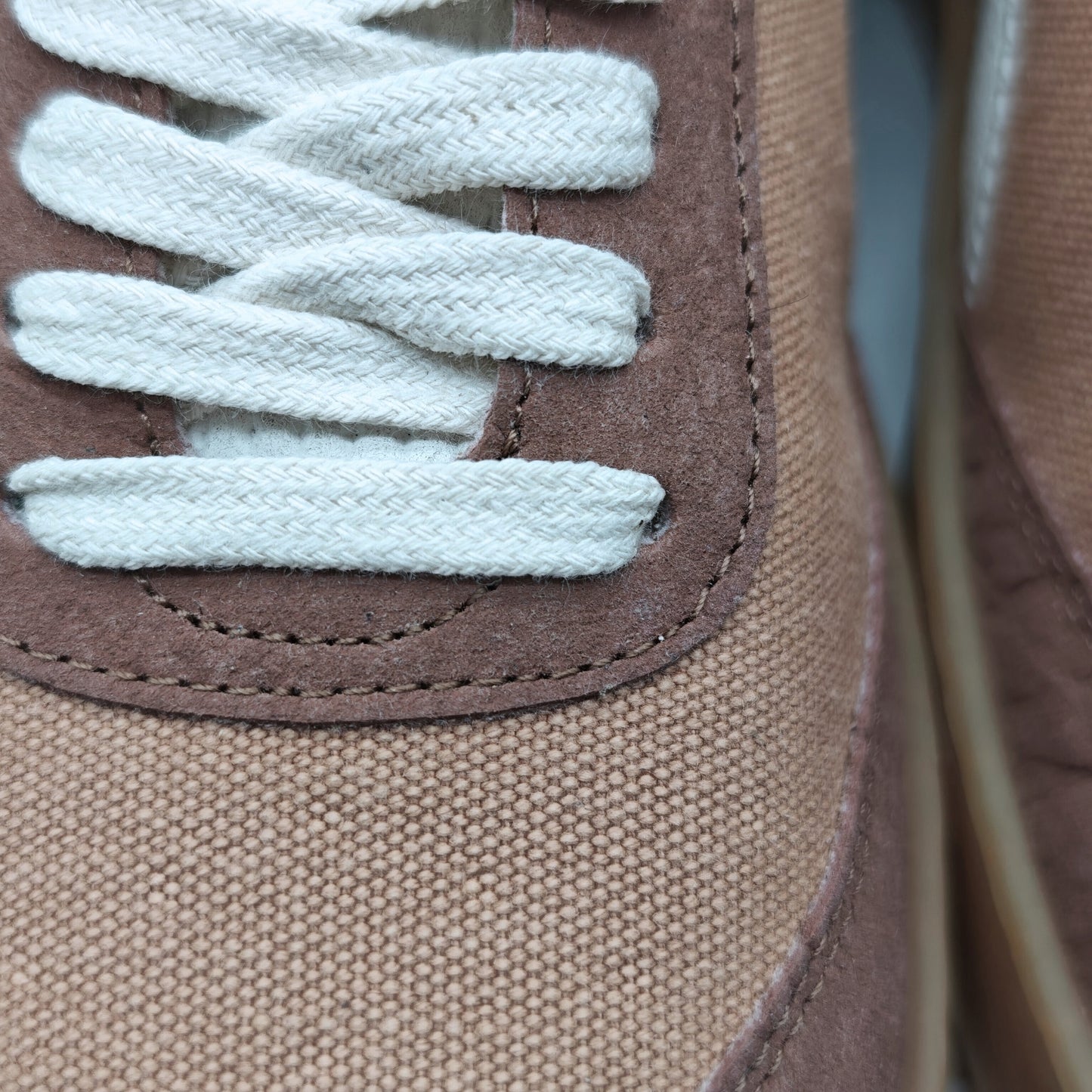 THE ‘269’ GRIZZLY BEAR