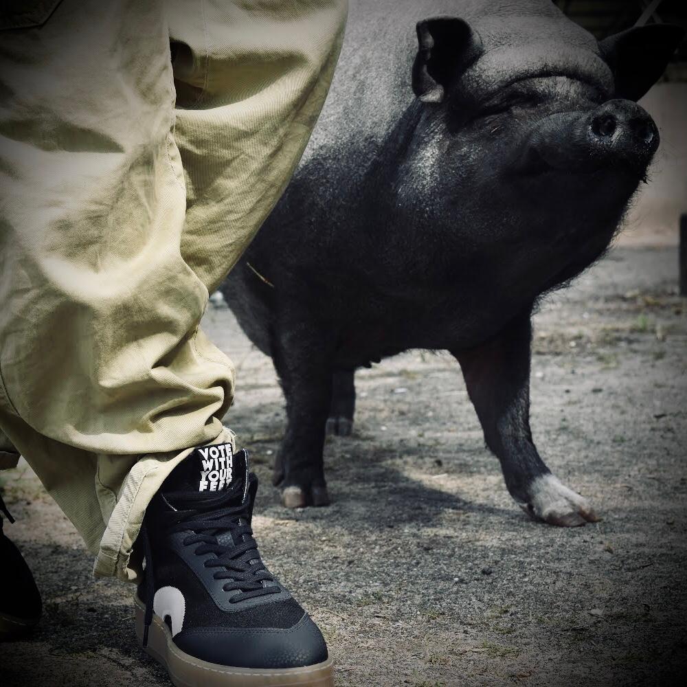 THE ‘269’ HI MONO DARK