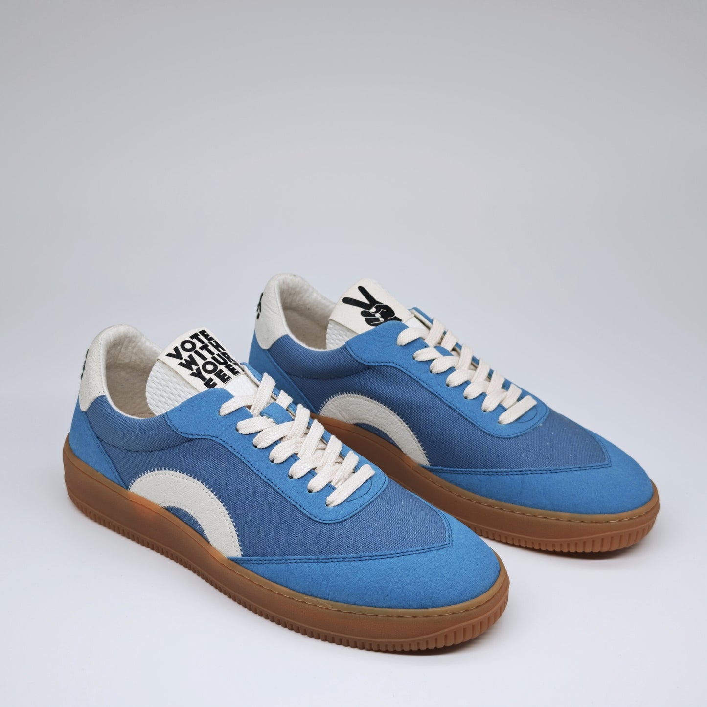 THE ‘269’ BLUE WHALE