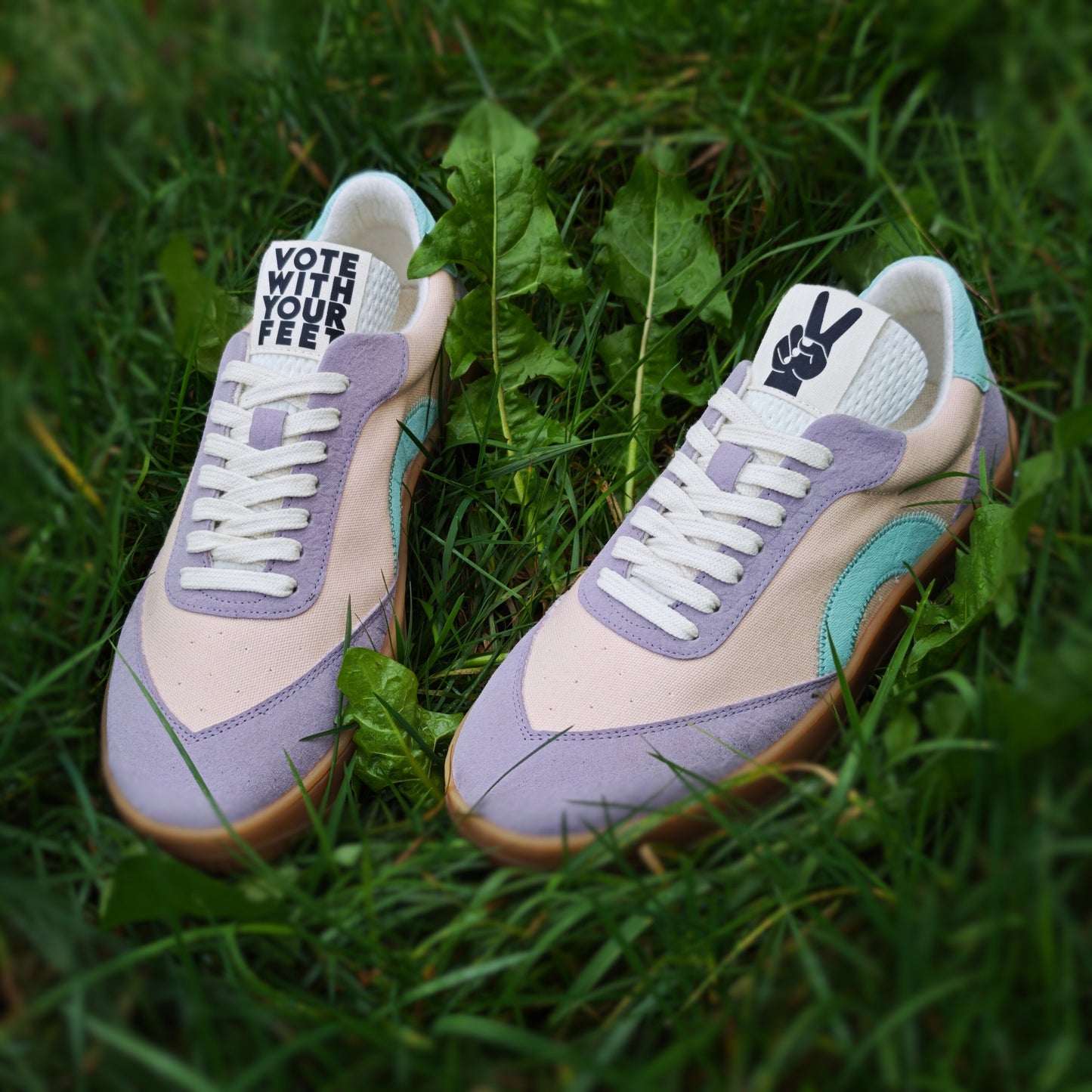 THE ‘269’ SPRING BLOOM